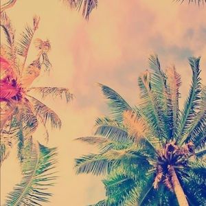 Meet your Posher, Bianca